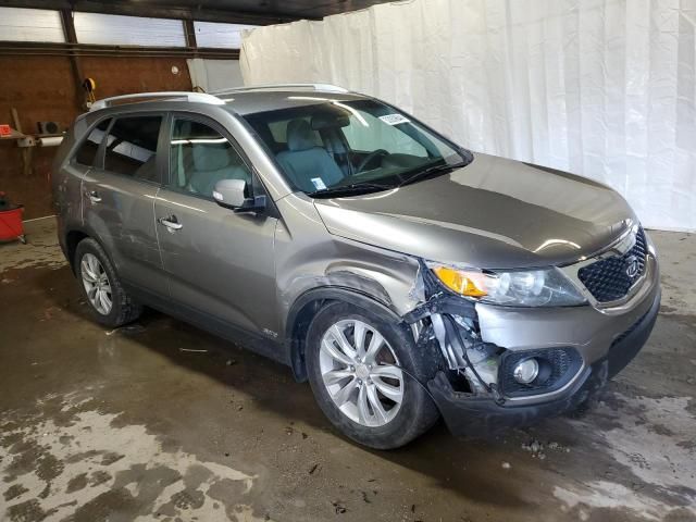 2011 KIA Sorento Base