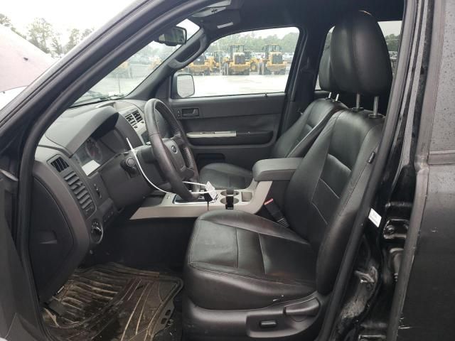 2009 Ford Escape XLT