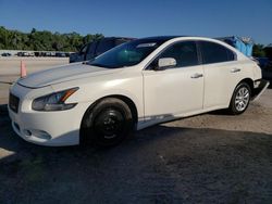 2012 Nissan Maxima S for sale in Apopka, FL