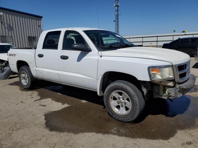 2008 Dodge Dakota SXT