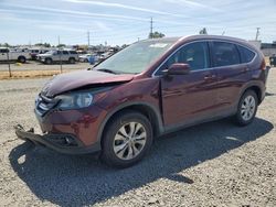 2014 Honda CR-V EXL for sale in Eugene, OR