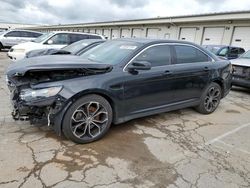 Ford salvage cars for sale: 2013 Ford Taurus SHO