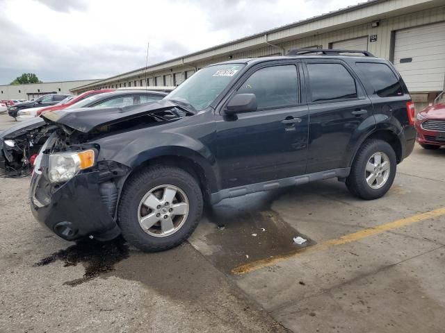 2011 Ford Escape XLT