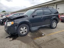 Vehiculos salvage en venta de Copart Louisville, KY: 2011 Ford Escape XLT