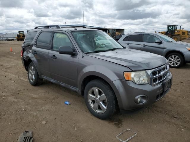 2009 Ford Escape XLT