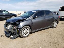 Toyota Corolla salvage cars for sale: 2010 Toyota Corolla Base