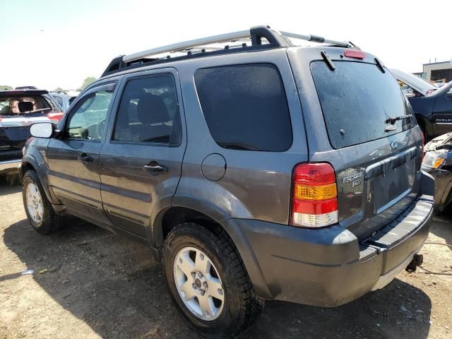 2005 Ford Escape XLT