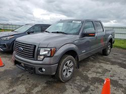 Ford F-150 Vehiculos salvage en venta: 2012 Ford F150 Supercrew