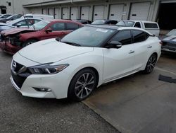 2018 Nissan Maxima 3.5S en venta en Louisville, KY