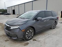 2024 Honda Odyssey EXL for sale in Apopka, FL
