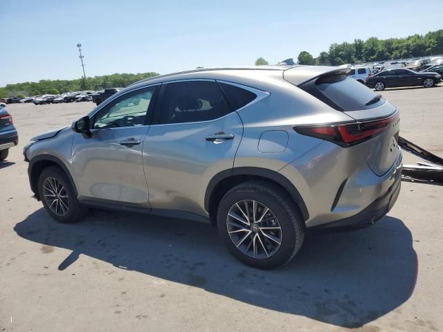 2024 Lexus NX 350H Base