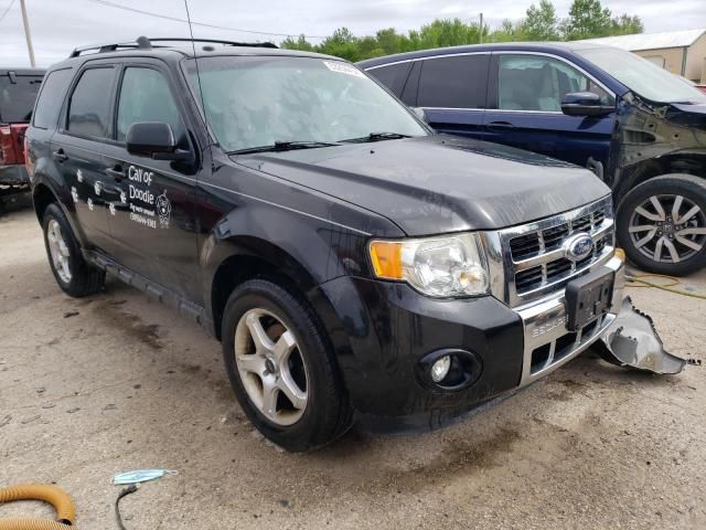 2011 Ford Escape Limited