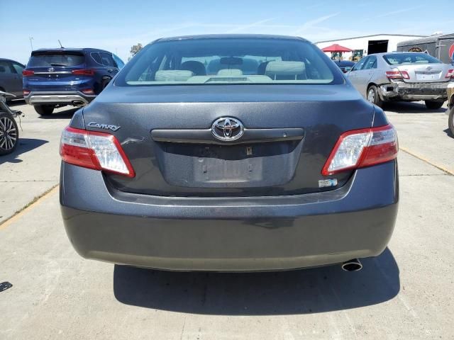 2009 Toyota Camry Hybrid