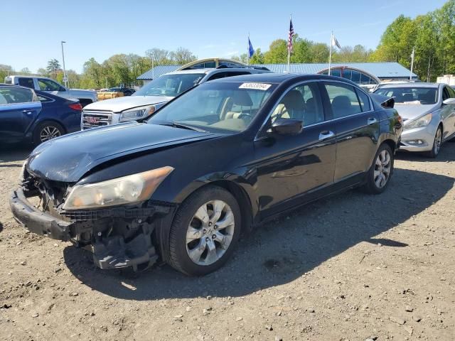 2010 Honda Accord EXL