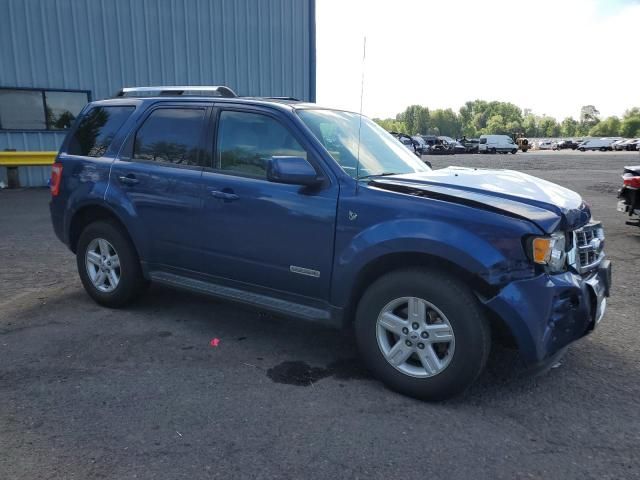 2008 Ford Escape HEV