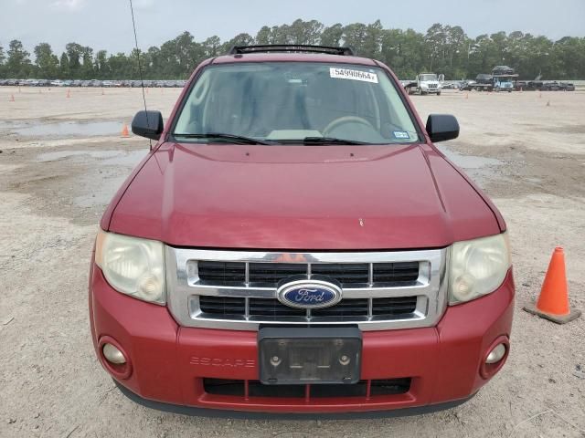 2011 Ford Escape XLT