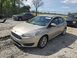 Salvage cars for sale from Copart Cicero, IN: 2016 Ford Focus SE