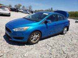 Ford Focus se salvage cars for sale: 2016 Ford Focus SE