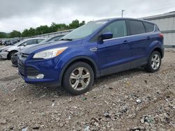 Vehiculos salvage en venta de Copart Lawrenceburg, KY: 2015 Ford Escape SE