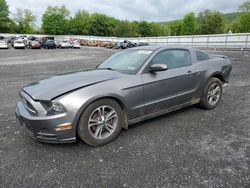 2014 Ford Mustang for sale in Grantville, PA