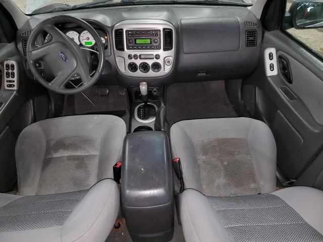 2005 Ford Escape XLT