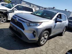 Vehiculos salvage en venta de Copart Vallejo, CA: 2019 Toyota Rav4 XLE
