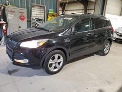 2013 Ford Escape SE en venta en Eldridge, IA