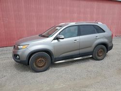 KIA salvage cars for sale: 2011 KIA Sorento Base