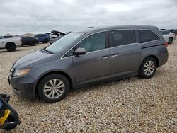 2014 Honda Odyssey EXL for sale in Temple, TX