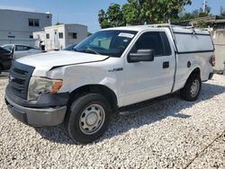 Vehiculos salvage en venta de Copart Opa Locka, FL: 2013 Ford F150