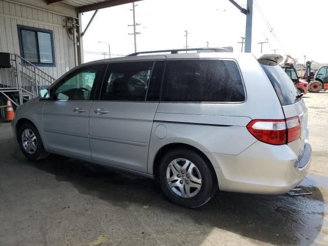 2005 Honda Odyssey EXL