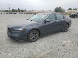 Salvage cars for sale from Copart Mentone, CA: 2023 Honda Accord EX