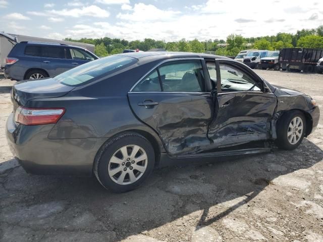 2009 Toyota Camry Hybrid