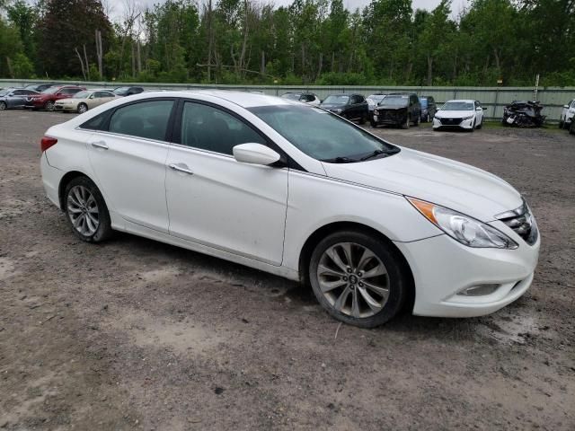 2013 Hyundai Sonata SE