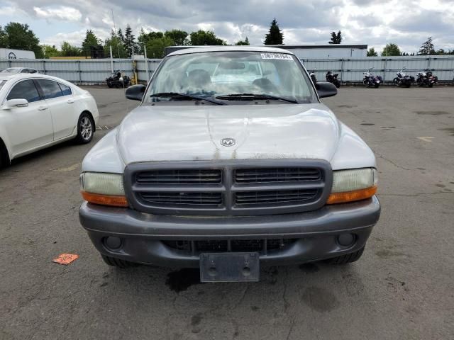 2002 Dodge Dakota Base