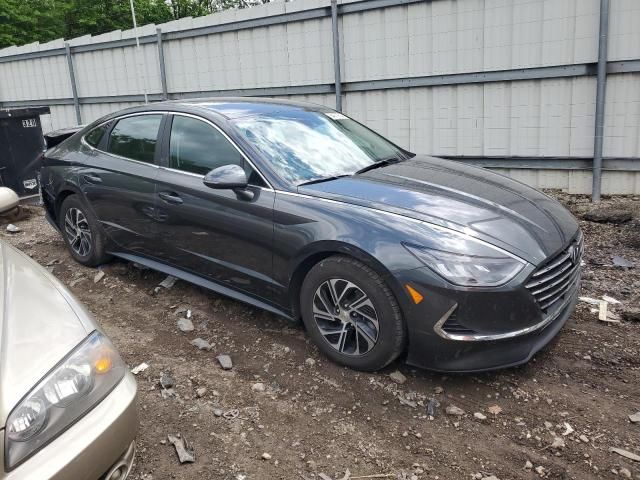 2021 Hyundai Sonata Hybrid