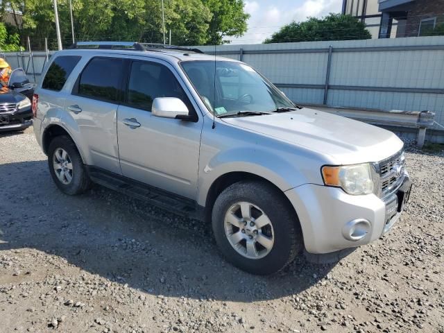 2010 Ford Escape Limited