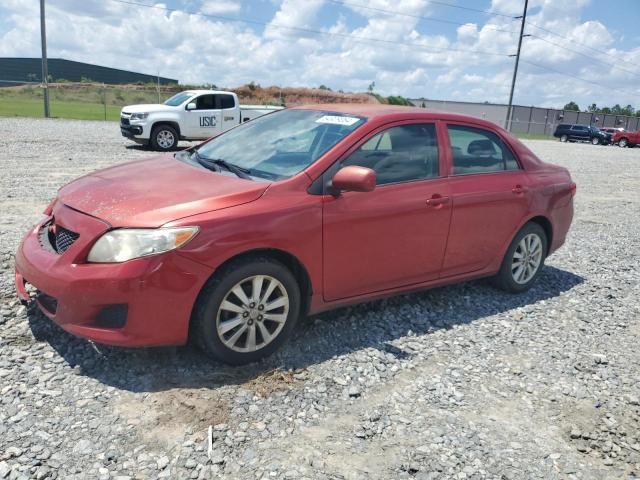 2010 Toyota Corolla Base