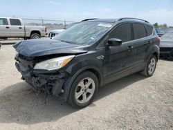 Ford Vehiculos salvage en venta: 2016 Ford Escape SE