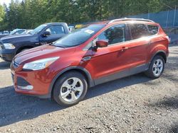 Ford salvage cars for sale: 2016 Ford Escape SE