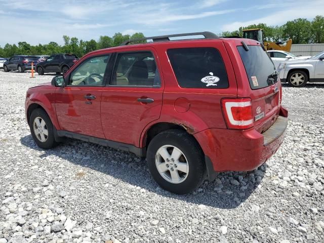 2011 Ford Escape XLT