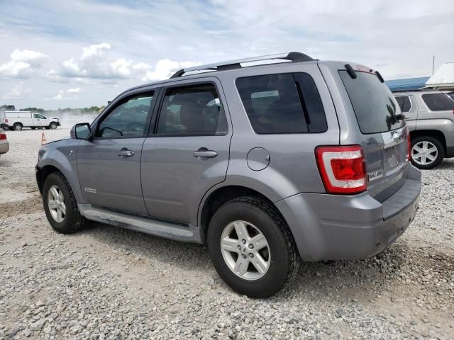 2008 Ford Escape HEV