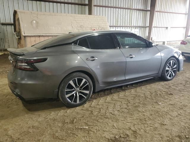 2021 Nissan Maxima SV