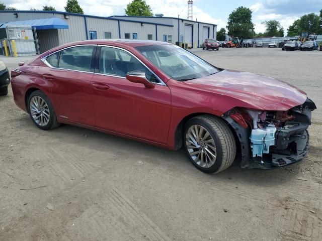 2019 Lexus ES 300H