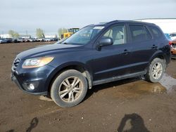 Salvage cars for sale from Copart Rocky View County, AB: 2011 Hyundai Santa FE GLS