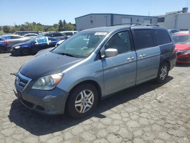 2005 Honda Odyssey EXL