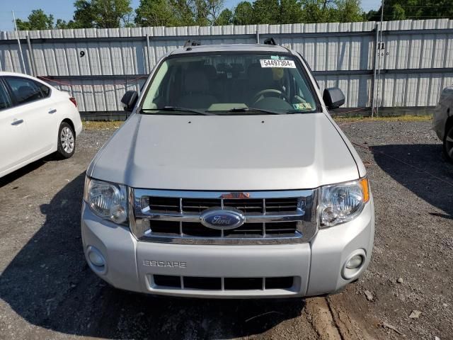 2008 Ford Escape XLT