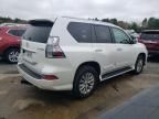 2017 Lexus GX 460