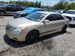 Toyota salvage cars for sale: 2007 Toyota Camry CE