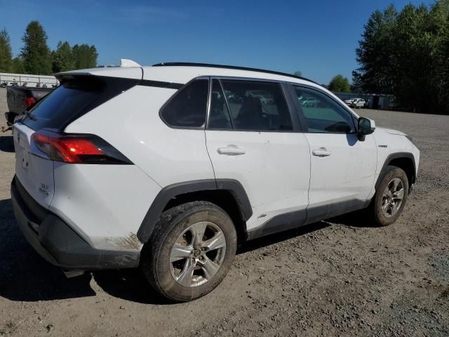 2020 Toyota Rav4 XLE